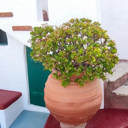 Patelo House Villa Agia Marina  Buitenkant foto