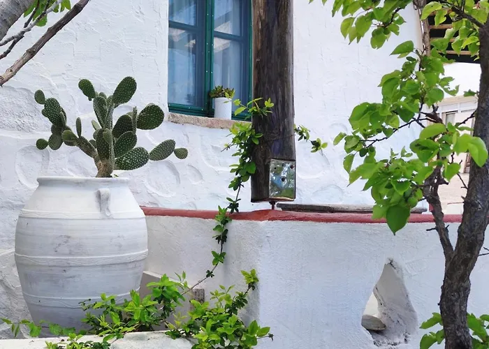 Patelo House